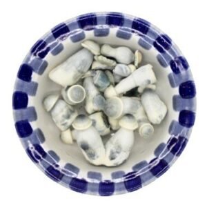 Albino Penis Envy Premium