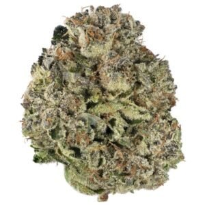 Astro Pink Kush by Pluto Craft Cannabis