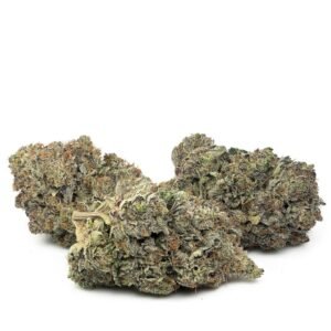 Fatso by Pluto Craft Cannabis