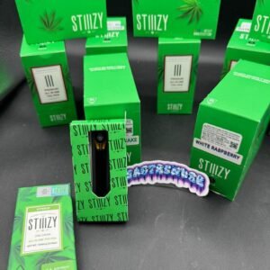 Stiiizy 1G Disposable Vape