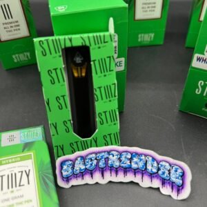 Stiiizy 1G Disposable Vape