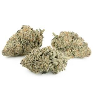 Where’s My Bike by Karma Genetics