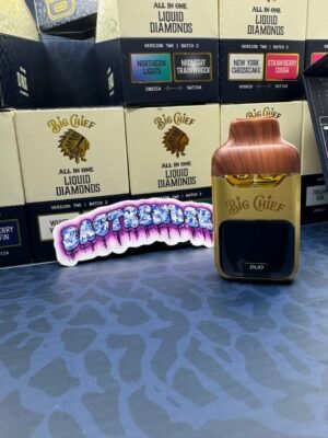Big Chief Duo V2 2G Disposable