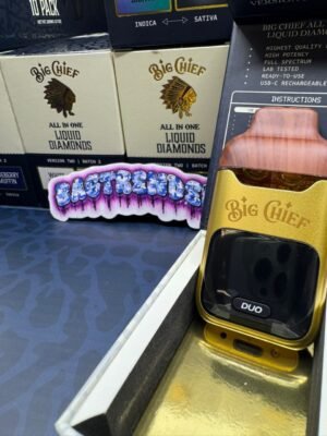 Big Chief Duo V2 2G Disposable